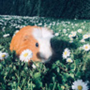 Meet your Posher, Lydia